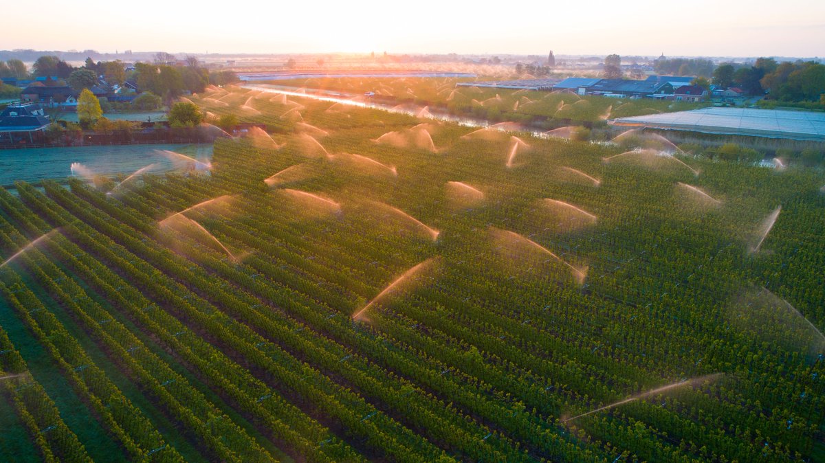 AbDonkerFoto's tweet photo. Vorst, zon en fruitbomen beregenen vanmorgen in Buurmalsen @weeronline @Weerplaza @BuienRadarNL @onwukaa @MarcdeJongRTL @weermanreinier @mrmiddendorp @WilliamHuizinga @helgavanleur @weermanrobert @weeronline @Weerplaza @RTLOntbijtnws @WNLVandaag https://t.co/AqM6V7TJvt