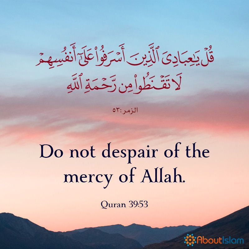 Do not despair of mercy of Allah.

#QuranQareemPk #Islamabad #Qatar