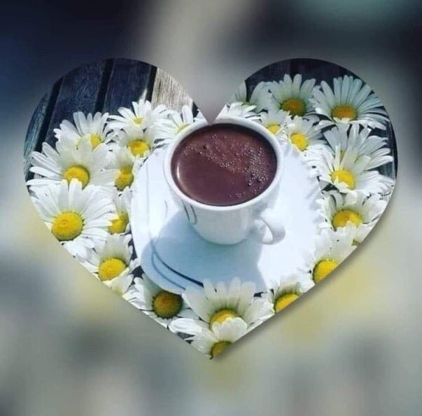 👩‍🌾MERHABA DEĞERLİLERİM 🐞🦋🕊 Günaydın …🌼🍃 Kim bilir?… Belki bir gün💥🌙 Bir Fincan Kahvenin Sıcaklığında☕️🍃 Isınır kabimiz de❤️💖 Bayram Yaparız Hepimiz Huzurla….🌸🍃🌼🍃 Mutlu Günler 💚