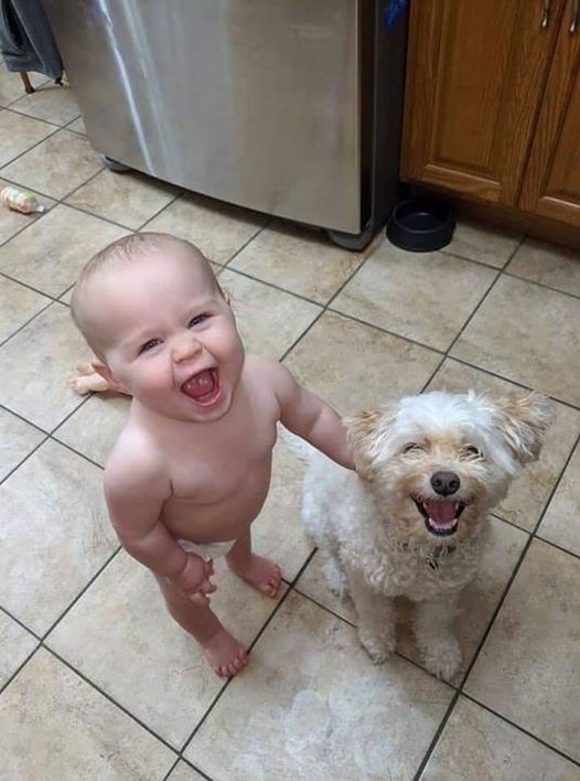 Dalbodog's tweet photo. So much happiness in one photo! https://t.co/FbY402dXPU