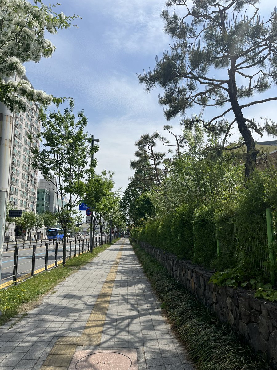 herr_234's tweet photo. 사진 마음에 드는데 자랑할 곳이 없어서. https://t.co/5lKKA9rcGs