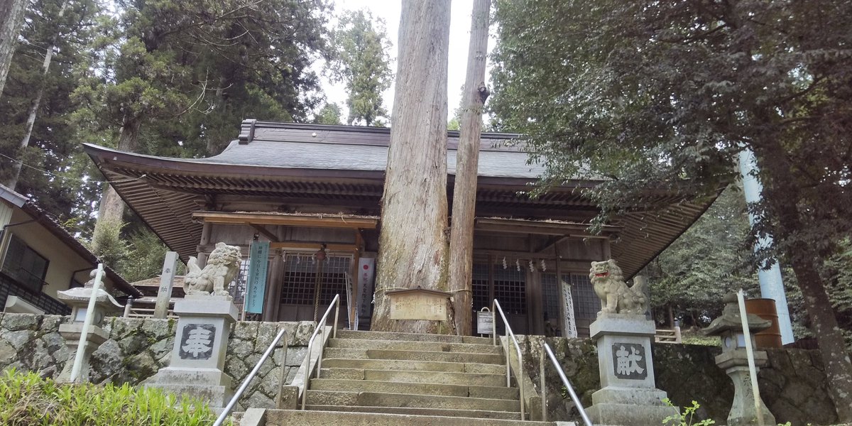 杉とヒノキの合体木
圧巻です。
豊田市稲武町の八幡神社にて
#写真好きな人と繫がりたい 
#写真撮ってる人とつながりたい
#御神木
#神社
#愛知県豊田市
#稲武町