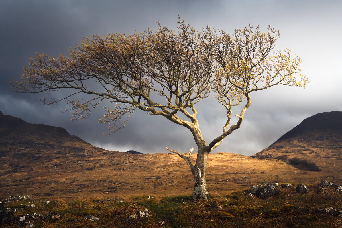 Scarisdale, Isle of Mull #Scotland #IsleofMull #Argyll damianshields.com