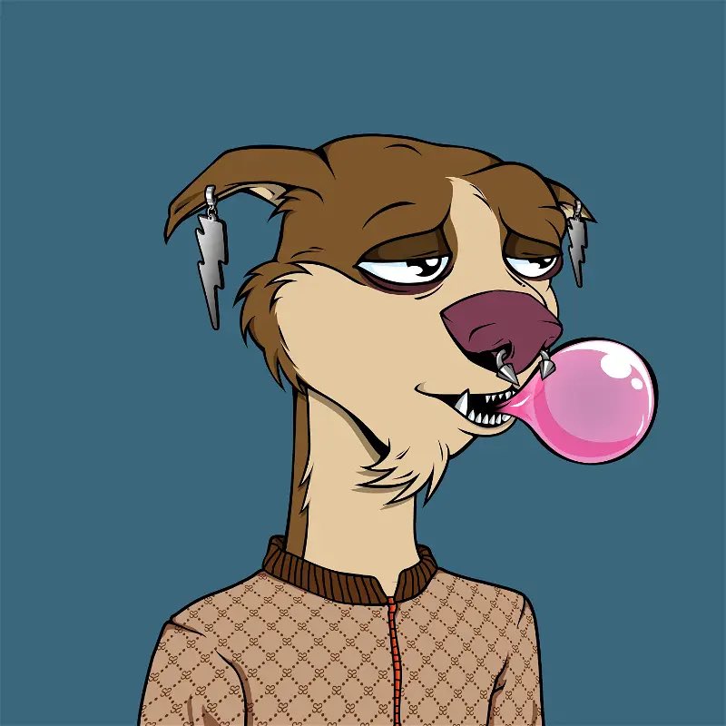 Tommy619🐸 tweet media