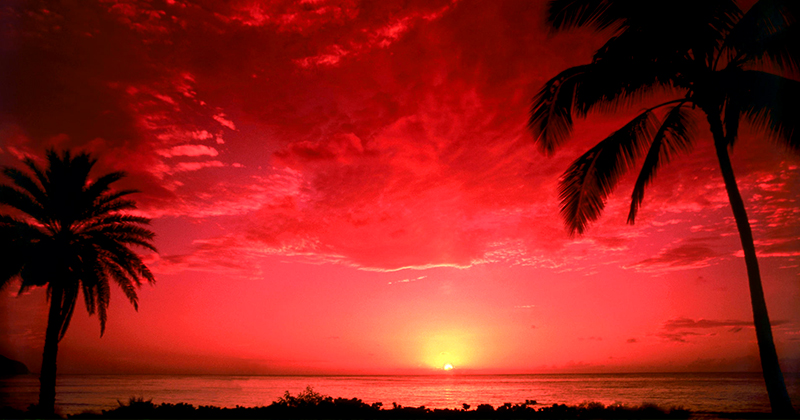Pic of the Night…Star Dazed ❤️💛🧡
best-online-travel-deals.com
#sunsetbeach #sunsetlovers #sunset #sundowns
