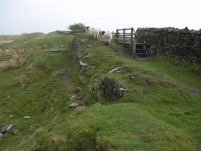 Interesting to ponder in a #hadrianswall context. Irresistable force meets imovable object? Perhaps some lateral thinking will be needed here (many kissing gates & stiles already have a farm gate next to them), but that's not necessarily a bad thing.