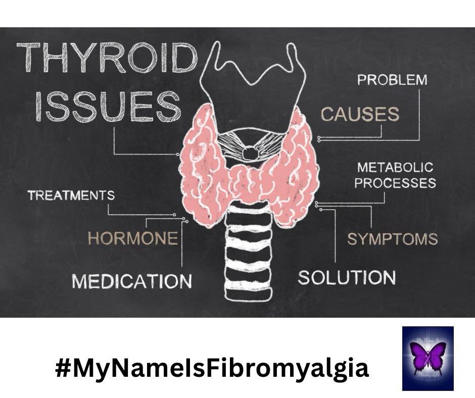 Hi everyone, today we would like to talk to you about thyroids and fibromyalgia. Thyroid disease, especially hypothyroidism and fibromyalgia share many symptoms and frequently occur together as both are linked to autoimmune dysfunction. There are a number of similar symptoms