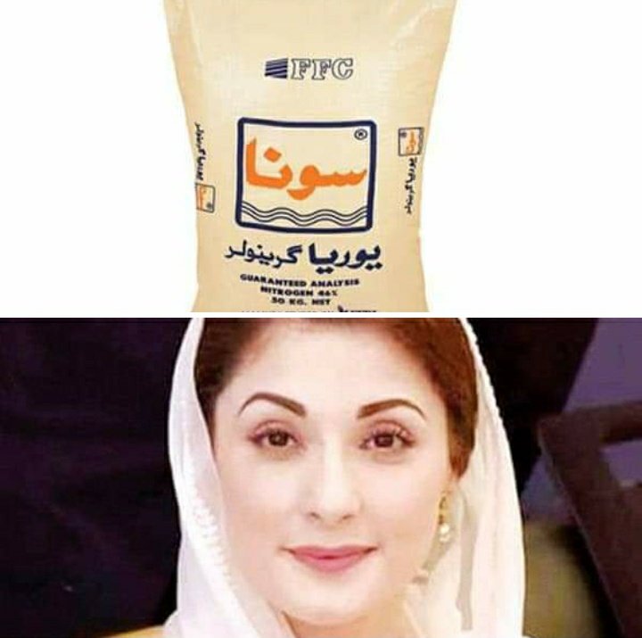 تندور والے نے لٹ مچا رکھی ہے ان کو لگام دینا ضروری تھا
خدمت تو بیچارے کھاد ڈیلرز کر رہے ہیں جو 3600 والی یوریا 5500 میں دیتے
ویلڈن پاکستان ۔۔۔