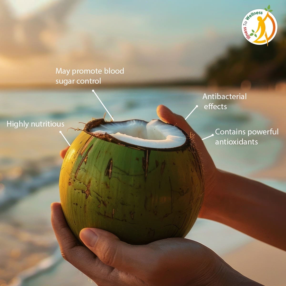 Coconut Water: Nature's Hydration Booster and Health Ally
.
#IllnessToWellness #HealthBenefits #CoconutWater #Health #LifestyleHabits #fyp #explore