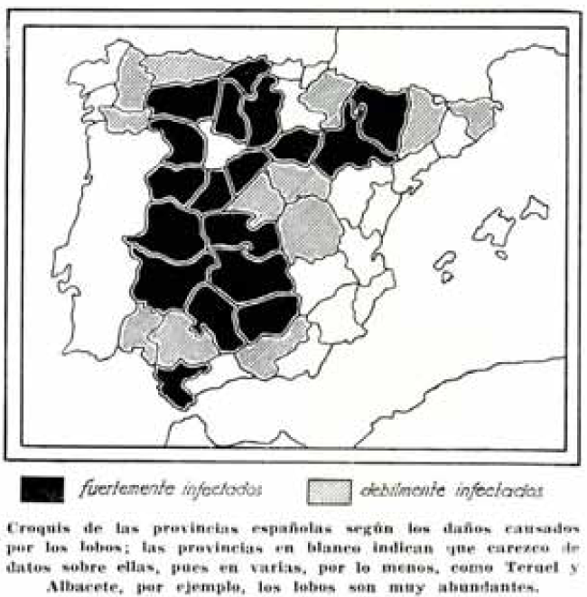 En 1947 la revista Montes publica un artículo llamado 'el lobo y sus daños' que aboga claramente por la erradicación de la especie y clasifica las provincias españolas según el grado de infección (sic) por lobo (las blancas son sin datos) Artículo: revistamontes.net/Buscador.aspx?…