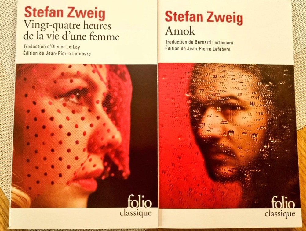 Mimi__fa's tweet photo. @C_litteraire Bonne #JMLDA
Comme une envie de relire Zweig ❣️ https://t.co/LQQCkTKTSf