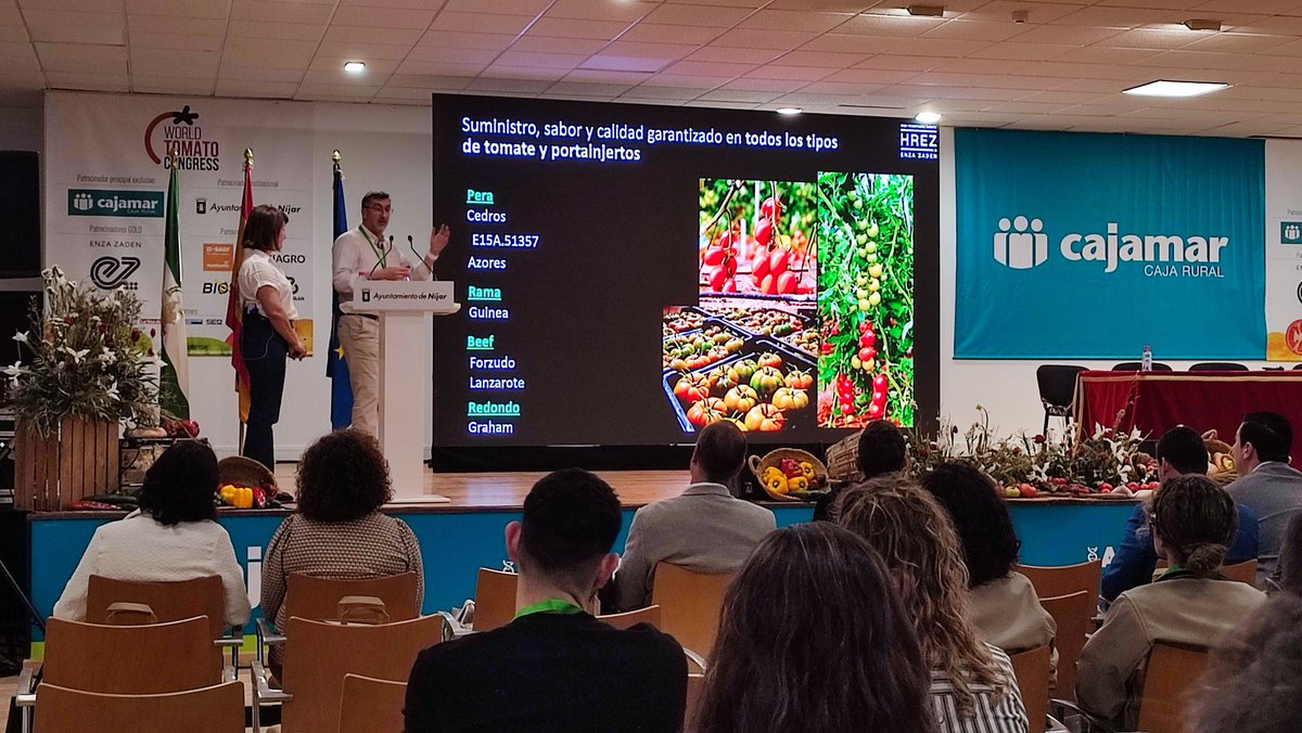 RevistaMercados's tweet image. Carlos Herrerías @enzazaden presenta las variedades con alta resistencia al #rugos en 🍅 y su gen #HEZ para España que ya están en mercado e insiste en la necesidad de contar también con un portainjertos con alta resistencia. @tomatocongress