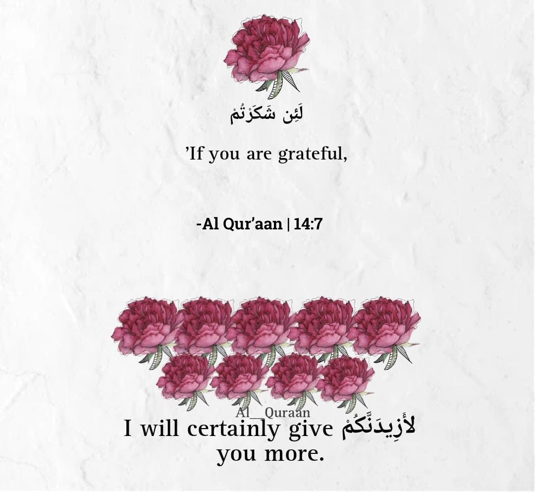 “If you are grateful, I will give you more.” — Al Qur’aan | 14:7