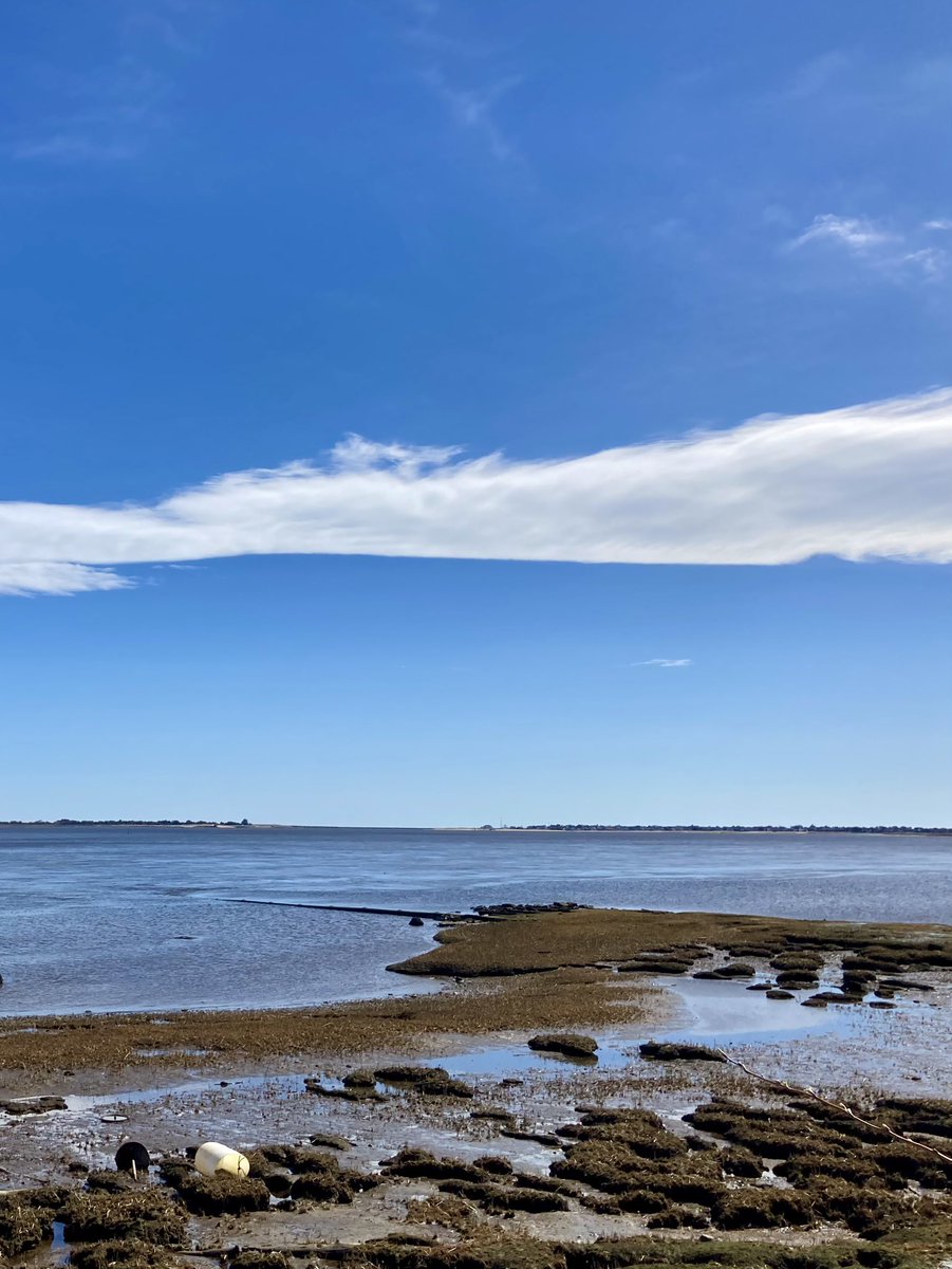 My bounty is as boundless as the sea, My love as deep; the more I give to thee, The more I have, for both are infinite. 💕 - William Shakespeare, Romeo and Juliet 📷 Low tide - Newburyport, Massachusetts 🌊 #NewEngland #Photography #Travel