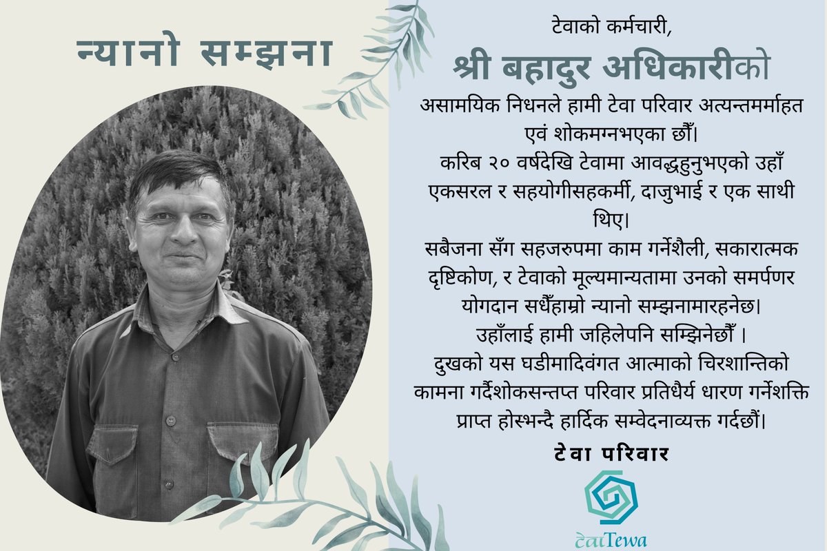 Tewa tweet media