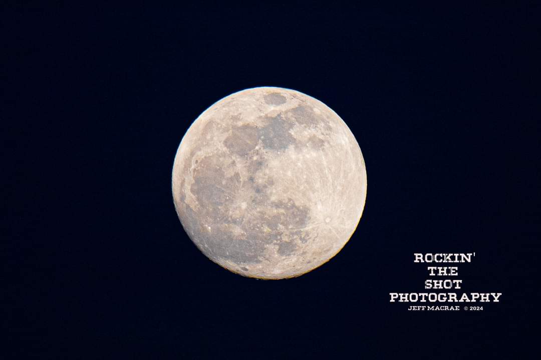 jeffmacrae68's tweet photo. Different perspectives - Last night's moon all taken within minutes of each other. #MOONLIGHT #themoon #night #nightphotography #nature #photography #photographer #canon # https://t.co/zi30feeWpZ