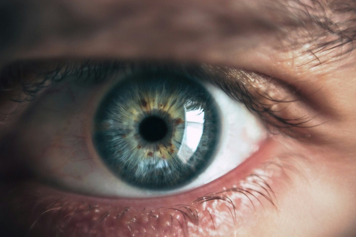 HS_UK's tweet photo. Rochester's Center for Visual Science and the Flaum Eye Institute have identified elusive non-cardinal RGCs in the fovea that could explain how humans see red, green, blue, and yellow.
https://t.co/iWypIytWR4
#RGCs #FlaumEyeInstitute #CenterforVisualScience #InstituteofOptics https://t.co/2wWN8RMrZn
