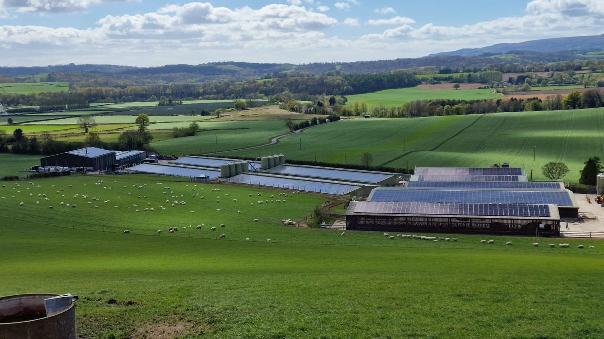 Alt-Group tweet media