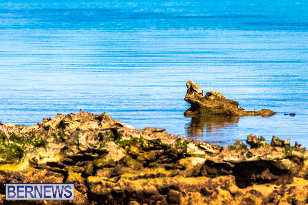 Serene water on the shoreline #Bermuda #ForeverBermuda Bernews.com