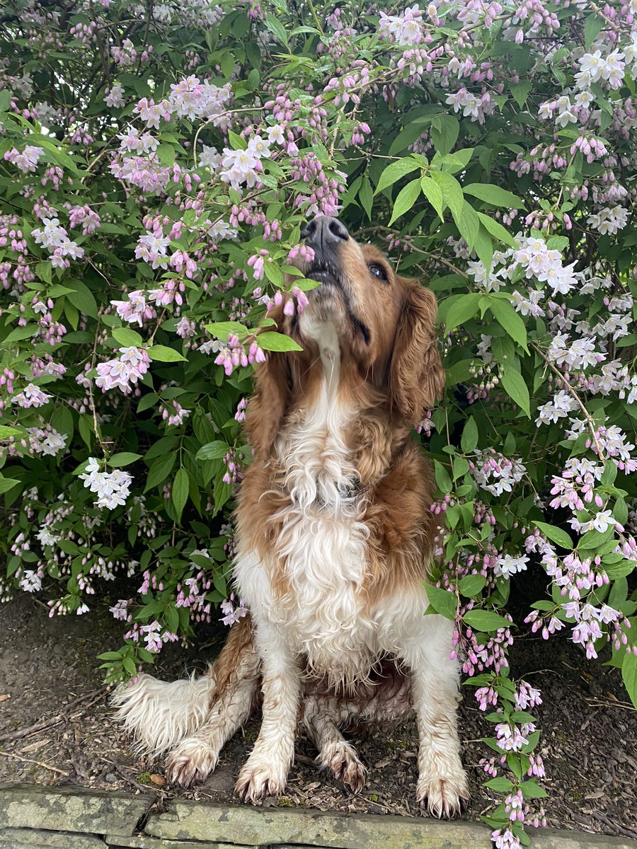 ThatSabrina's tweet photo. Happy Tuesday! πΎ #greenpaws https://t.co/QlZlGBOUAc
