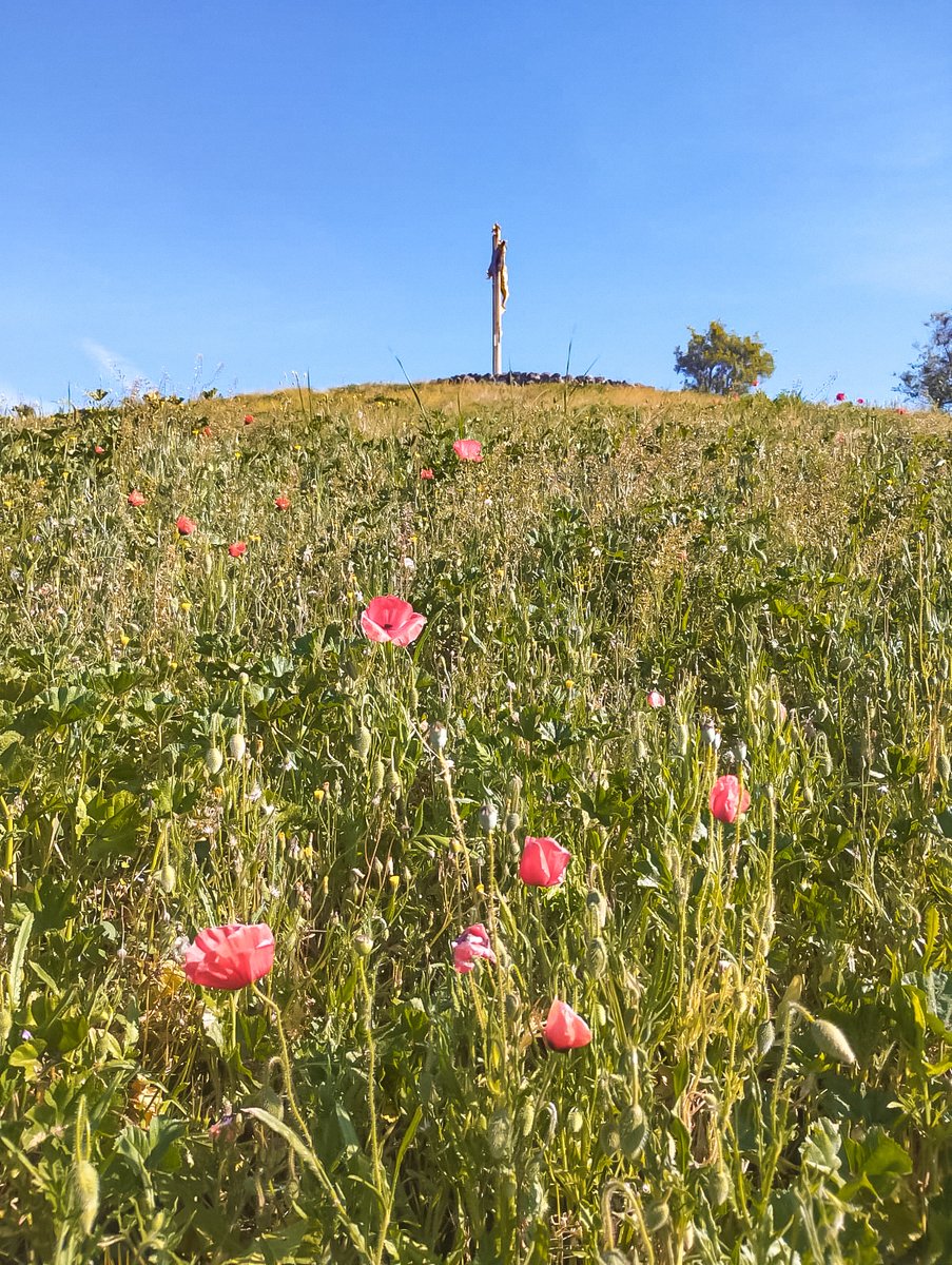 #mardiphoto La colline du Calvaire de Châtel-Guyon adopte les couleurs du printemps 🌺☀️