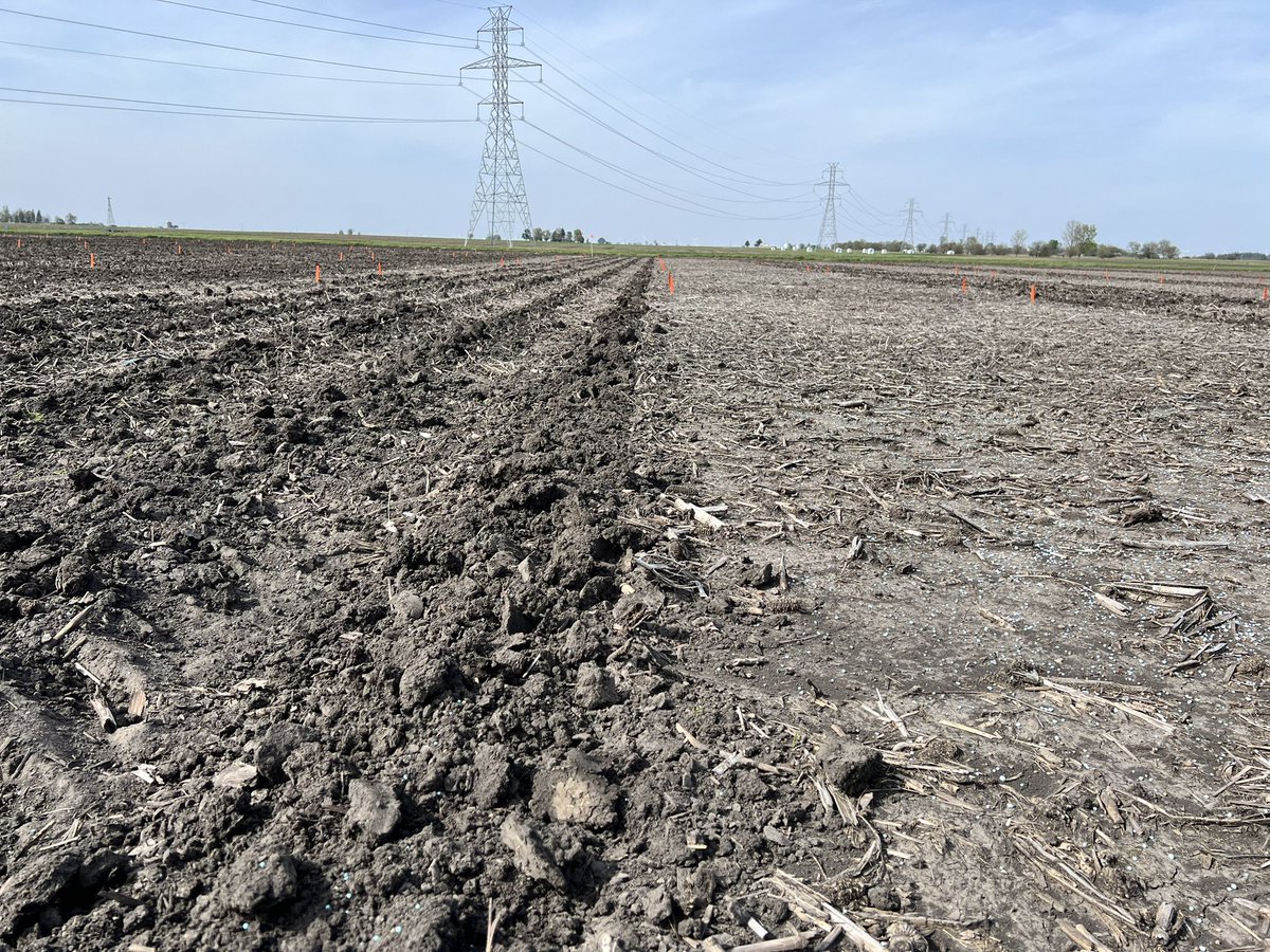 Dan Quinn tweet media