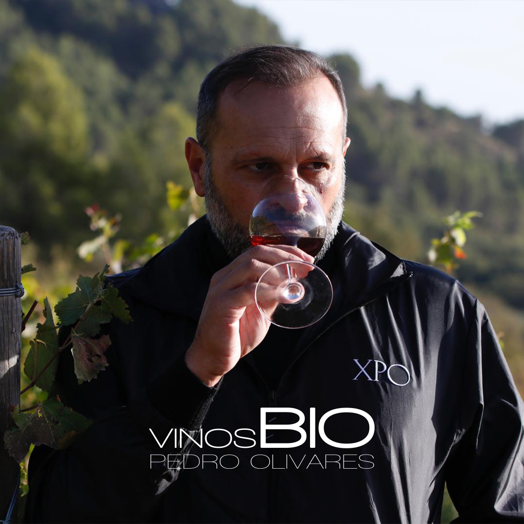ANDcomecultura's tweet photo. @Marcos_Reguera  Maestro Picolier, cocinero y sumiller y los productores @CastillodCanena y @Vinosbiopedro  participan en Jaén 2024: Un fenómeno gastronómico en el @bculinary   
.
#andaluciacomecultura
Promueve @CulturaAND 
Patrocina @FundUnicaja https://t.co/yFMCec3r1N