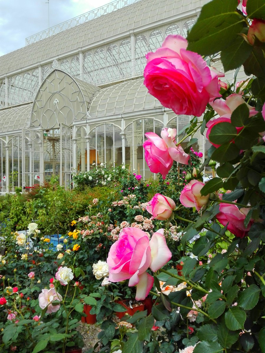 Roses, gardenias, azaleas, succulents and aromatic plants... whatever type you can think of, you are likely to find it at the Flower Show! In the Horticultural Garden from 25 April to 1 May, free entry feelflorence.it/en/dalle-redaz… @VisitTuscany