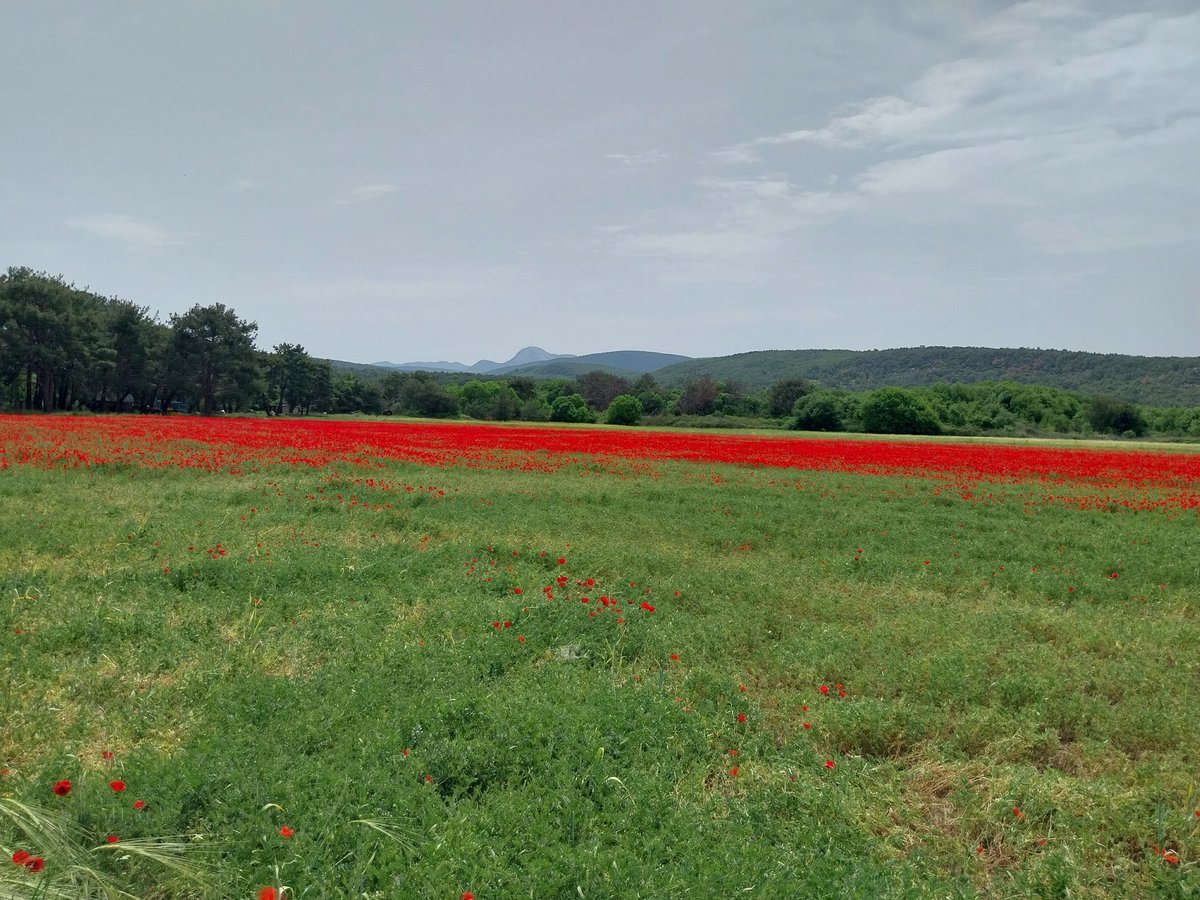 Όταν η φύση ζωγραφίζει