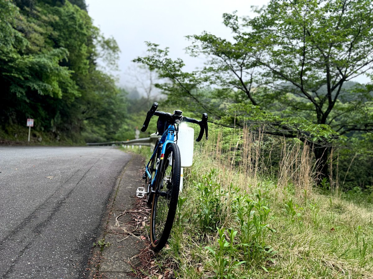 mousepancyo's tweet photo. 日課。今日は雨には降られませんでしたが湿度が高くジメジメムシムシでした。そして帰宅したらここ一年で10回くらいはパンクしているパンクのプロの私にとってのマストアイテムが届いていました。
#自転車通勤 #as2pro https://t.co/HjvIbd1qbN