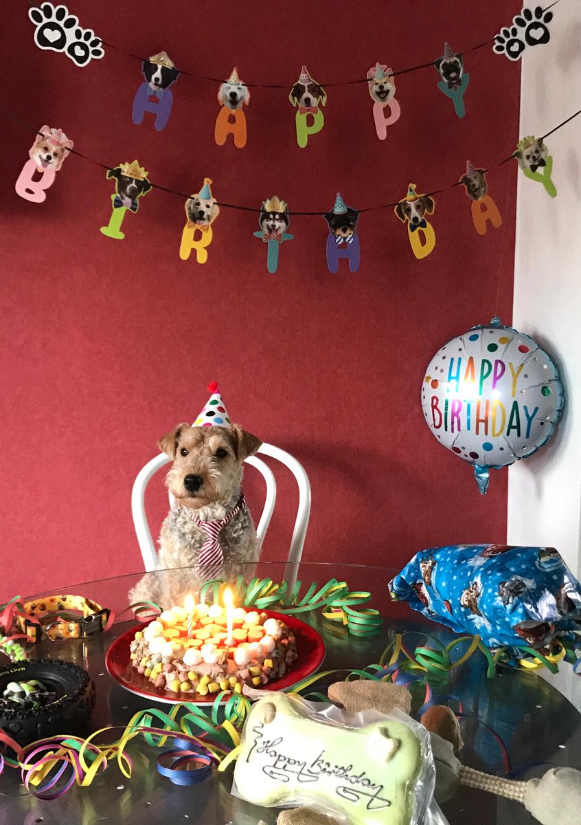 Hi pals, it's my 3rd birthday today 🎈🎉🎁Mum has made me a cake 😋🎂 You're all invited ❣️❣️❣️ Come round quickly, otherwise I'll eat it alone 😁😝
