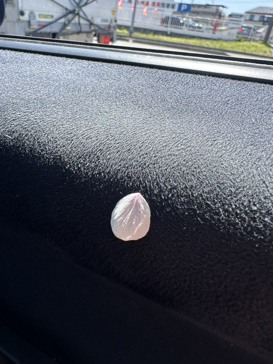 ゆう@たまに会える人 (@yuuuu19ni) on Twitter photo 