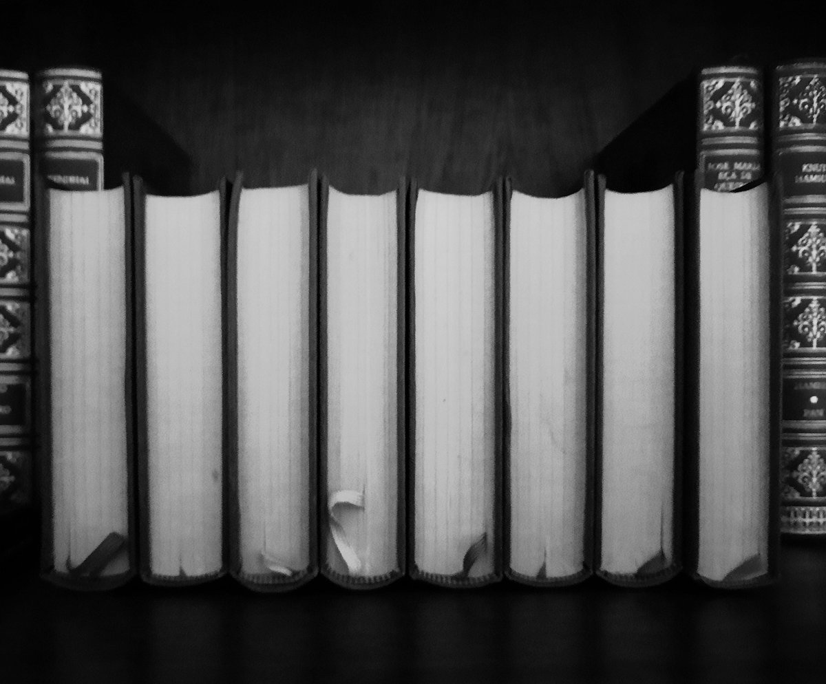 MaraCaval's tweet photo. El libro es el antídoto más asequible contra la falta de pensamiento y la alienación tecnológica a la que estamos sometidos. Benditos libros. #DiaDelLibro https://t.co/qCK4gFCTFn