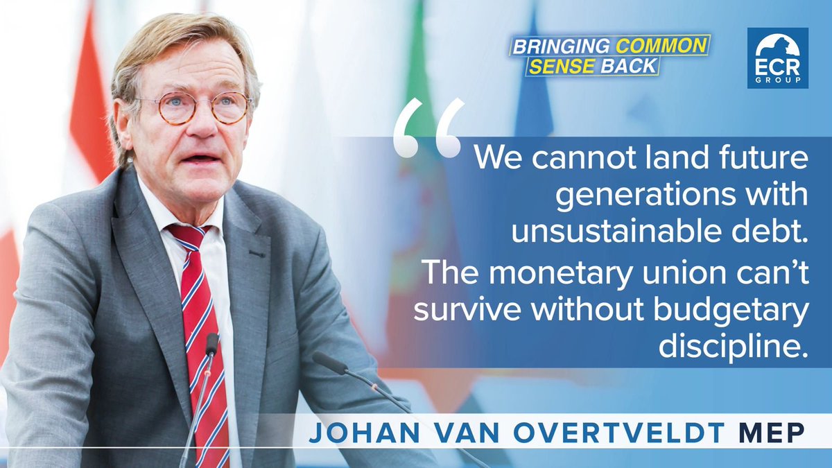 🗣️ @jvanovertveldt MEP on the need for greater fiscal discipline and tighter economic governance in the EU 'There are a number of Member States who've gone too far in debt financing and this is a potential danger which can't be justified nationally or EU-wide.' #EPlenary #EUCO