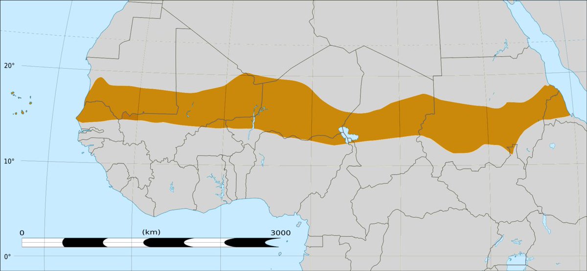 Thread Introduction au cadre géographique du Sahel partie 1.

I. Ce que les Arabes désigne par «Bilad es Sudan» (le pays des noirs) en français s'étend au Sud du Sahara depuis la mer rouge à l'océan Atlantique. Les Arabes ont fait connaître l'Afrique Noire médiévale toutefois,