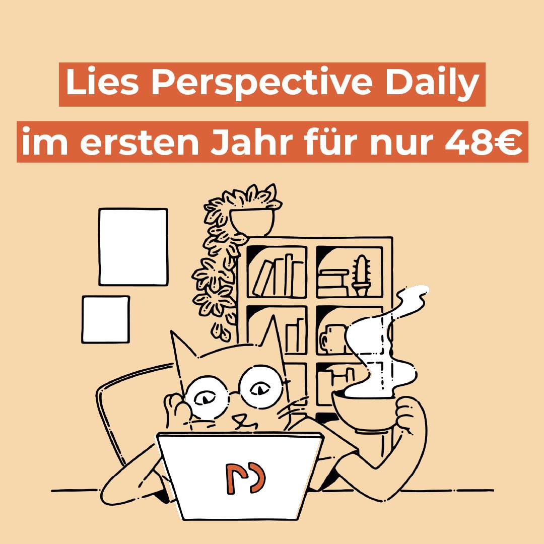 Perspective Daily tweet media