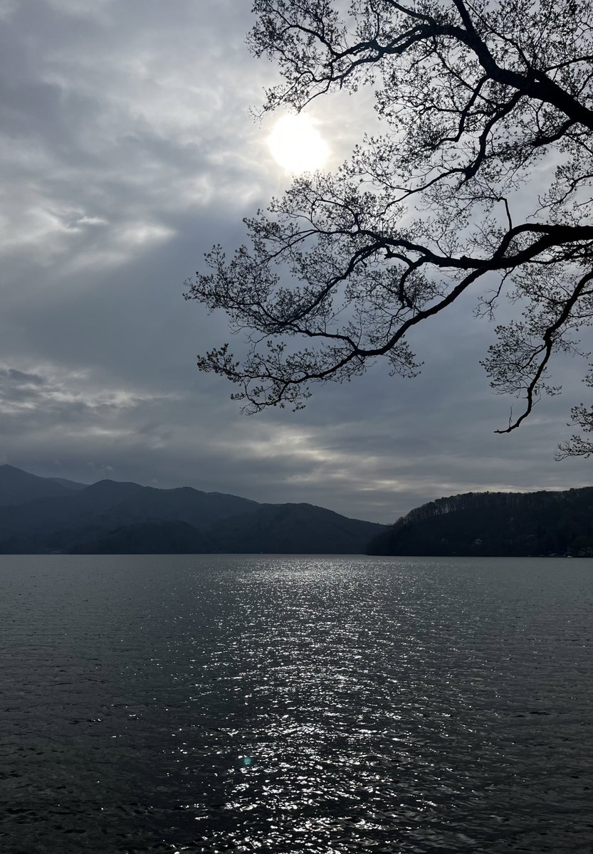 マラソン後にLAMP野尻湖のThe Saunaに行ってリフレッシュ💨
野尻湖ダイブできるの知らんかったから次回に笑