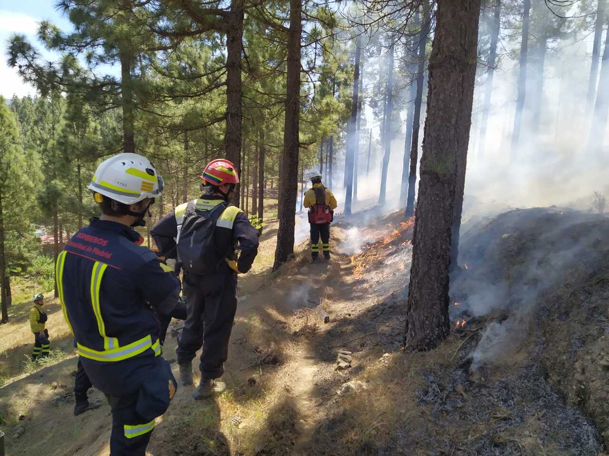 🔥 Los #BomberosCM 🚒 intercambian conocimientos con los bomberos de @112canarias sobre nuevas formas de gestión del combustible forestal.

Han realizado además prácticas de quemas prescritas. 

#0Incendios
#MadridProtegido

#ASEM112