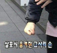 moleplus_'s tweet photo. 아니 팝업 열 생각보다 인형 물량 좀 더 풀어줘요!!!! 수업중인 학생 배려 왜 없냐고 https://t.co/dV80lALzGf