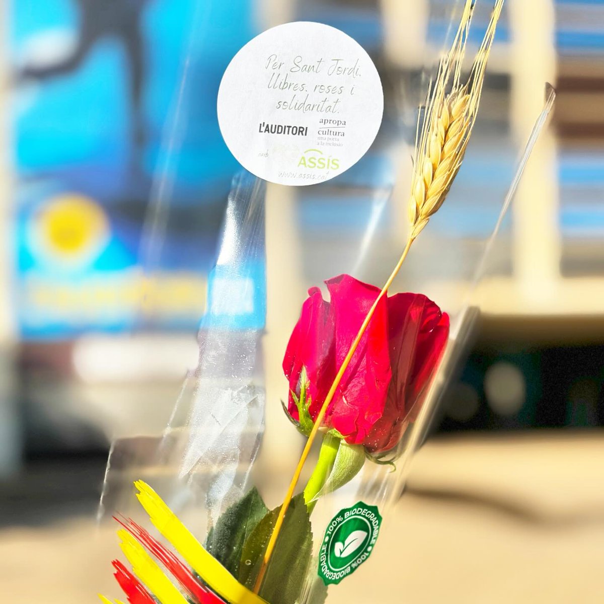 Molt bona diada de #SantJordi! 🌹 Aquest any ho celebrem amb una rosa solidària en col·laboració amb @apropacultura i @CentreAssis, entitat social que treballa per millorar la qualitat de vida de les persones en situació de sense llar. #santjordi2024