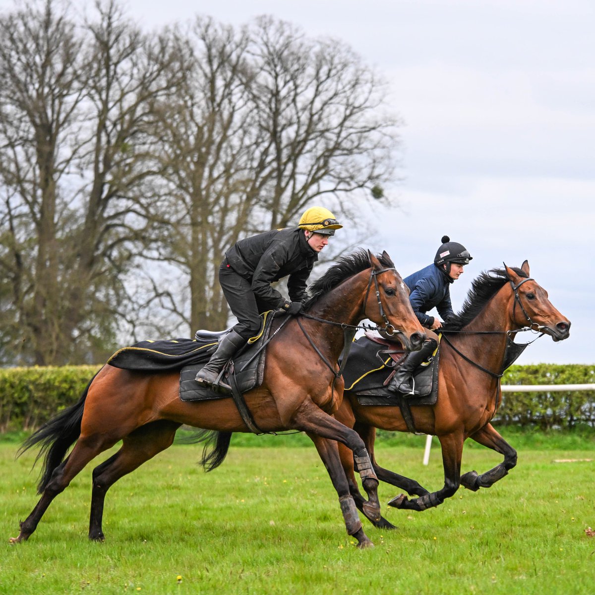 ROCKINASTORM and @Alice_stevens_2 schooling with FORTESCUE and Archie Jones✈️ 📸 @HighfieldPhotog