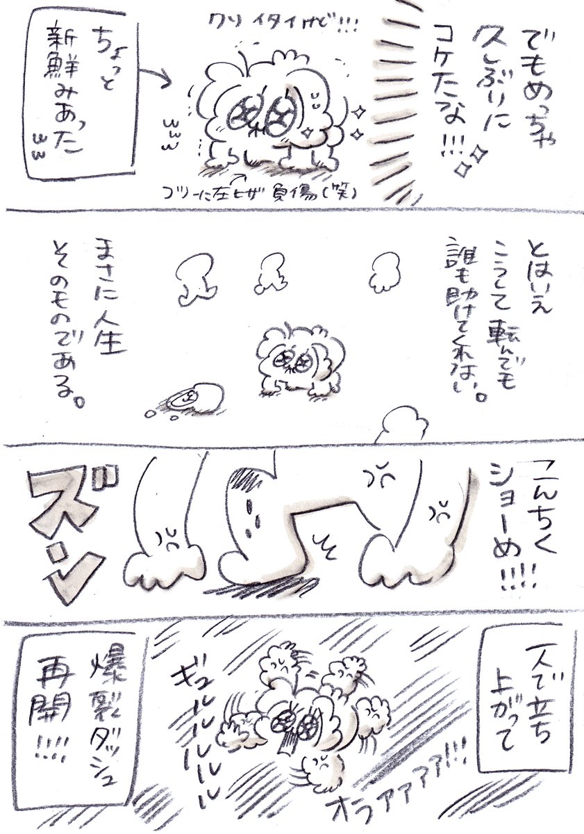 (2/2) 