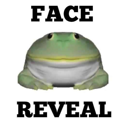 Dev is doxxed. Bolish on $Bol