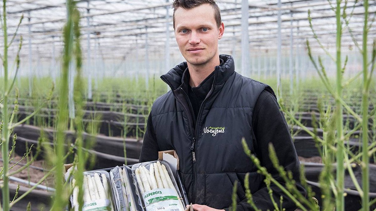 😍 Onze asperges? Die komen uit Ravels! Het familiebedrijf van Fons & Jan Nooyens levert hun asperges rechtstreeks aan Lidl. Door niet via de veiling te passeren, vermijden we heel wat nodeloos transport en geraken de asperges verser bij de klant. #versevoeding #gezond