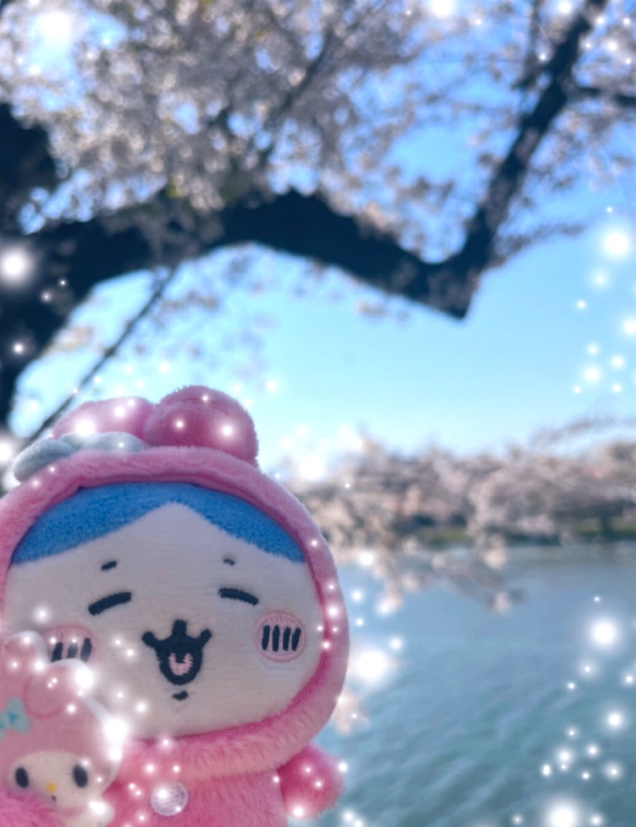 ようやくお花見できた( ◜︎︎𖥦◝ )
桜のハート可愛かったなぁ🫶🌸