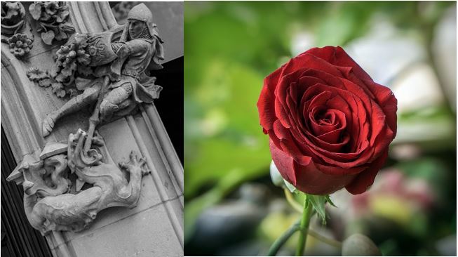 🌹Que el Sant Jordi aparti totes les pors i la rosa porti l’aroma de les il·lusions... Des de VINC us desitgem una molt bona diada de Sant Jordi! #SantJordi2024 #PTGASfUdG