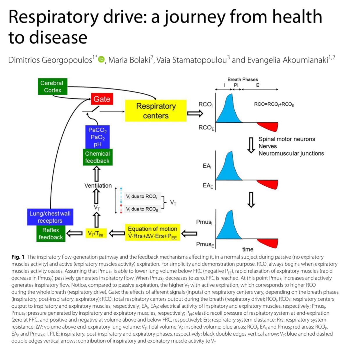 Let’s just say that this article filled in some gaps in my knowledge of respiratory drive. Definitely worth checking out as a refresher or a primer for new learners. 🎩 tip to the authors. eddyjoemd.com/foamed/