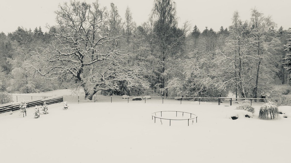 Ao mesmo tempo na #Estônia ❄️ Back to the #Winter #Wonderland in #Estonia