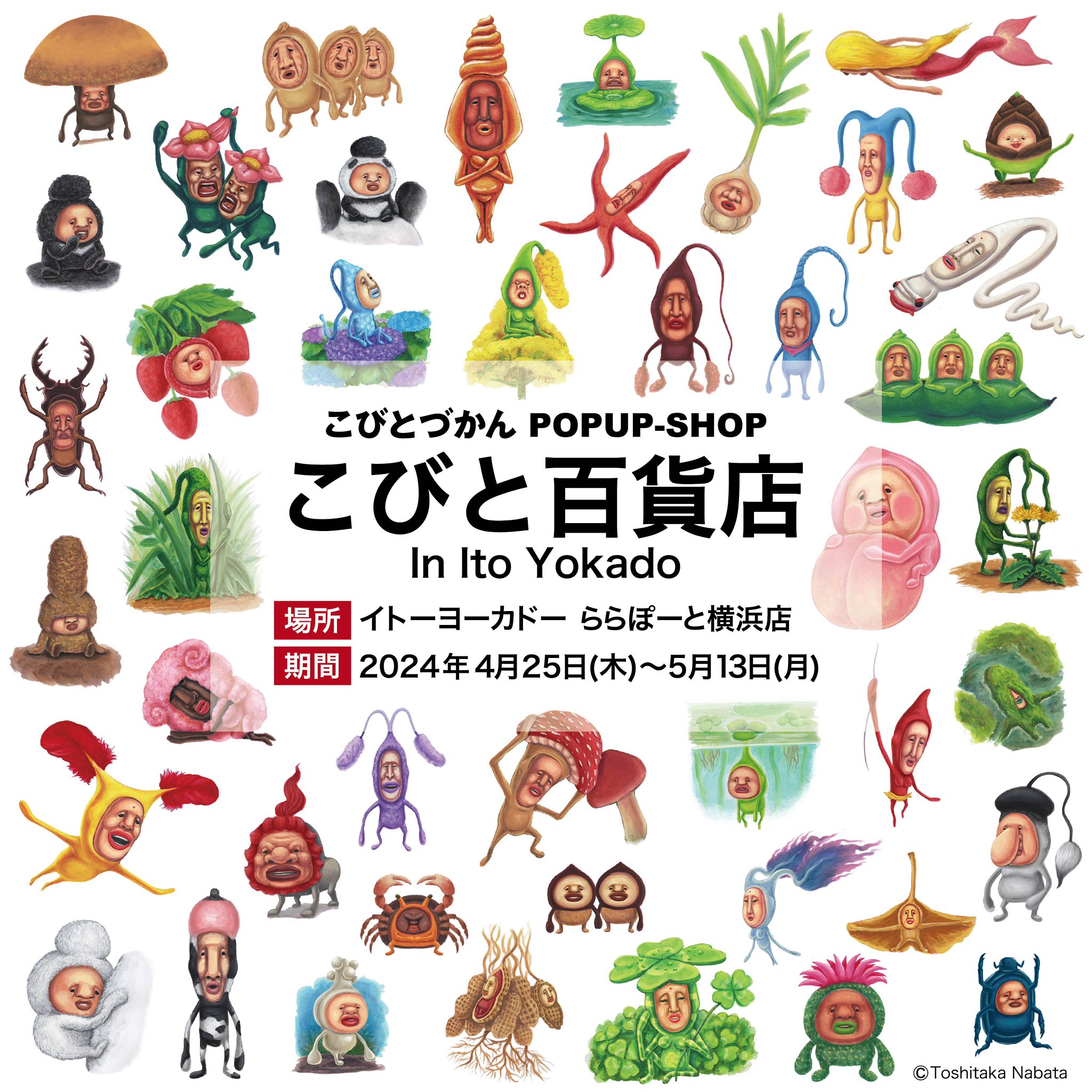 こびとづかん公式📚🌿 on X: 