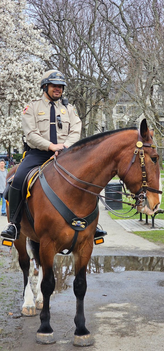The Boston Park Ranger Mounted Unit is comprised of its own department horses, tack, trailers, and patrol vehicles, patrolling all nine parks in the Emerald Necklace, as well as neighborhood parks and cemeteries. 🤍